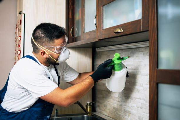 Best Mosquito Control Services  in Hannahs Mill, GA