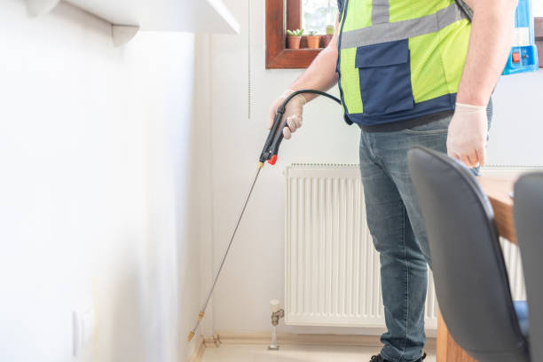 Best Ant Control Services  in Hannahs Mill, GA