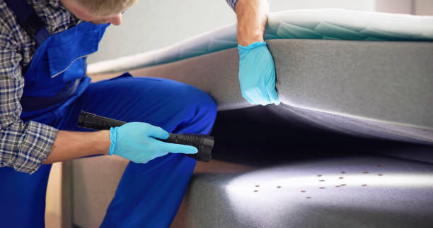 Best Pest Control Near Me  in Hannahs Mill, GA