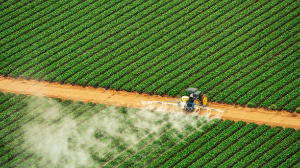 Best Pest Inspection Near Me  in Hannahs Mill, GA