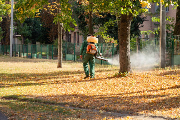 Reliable Hannahs Mill, GA Pest Control Solutions