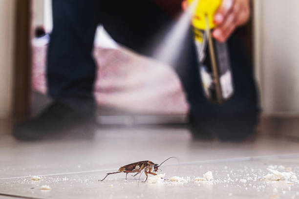 Wildlife Control Services in Hannahs Mill, GA