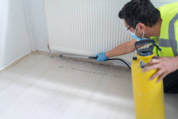 Best Pest Control Treatment  in Hannahs Mill, GA