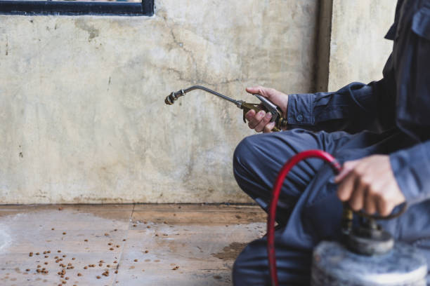 Best Best Pest Control Near Me  in Hannahs Mill, GA